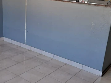 Flat & Apartment